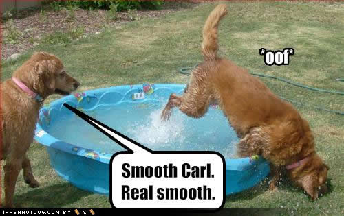
funny cats,funny animals,funny dogs,funny signs,funny people, funny-dog-pictures-smooth